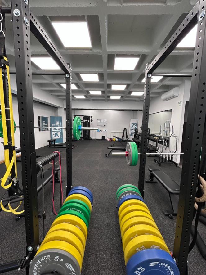 Fit Hub health & fitness concept
